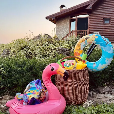 Cozy Escape